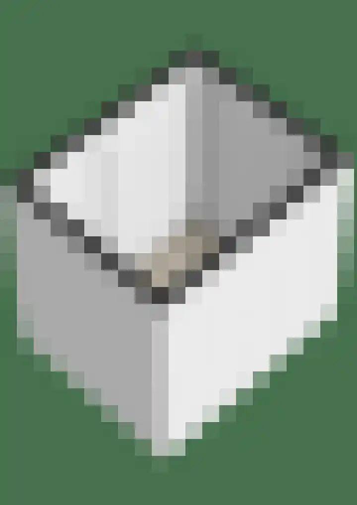 Kantemarsweg 8 d Hoevelaken thumbnail 28