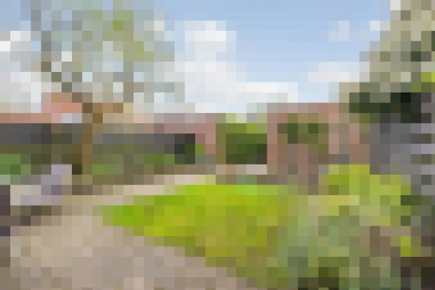 Kantenbeemd 16 Breda thumbnail 28