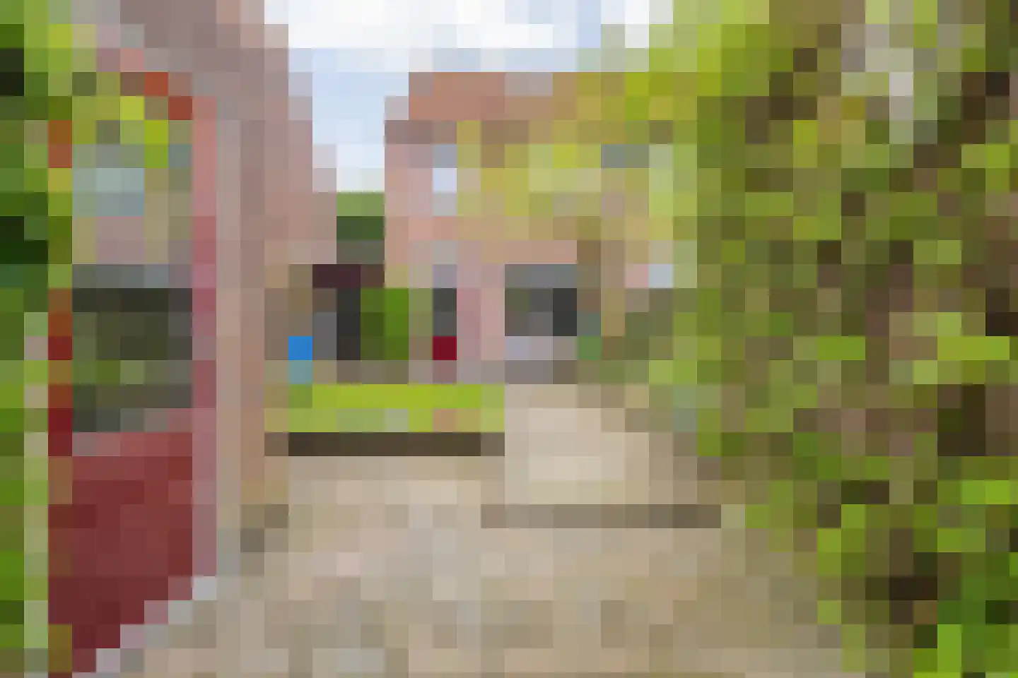 Kantenbeemd 16 Breda thumbnail 30