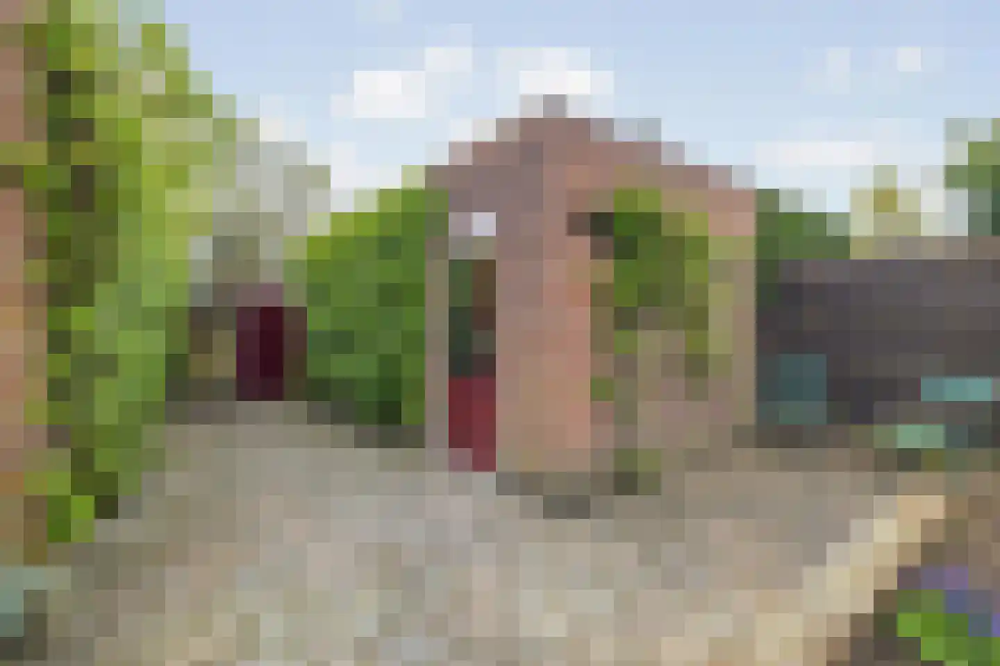 Kantenbeemd 16 Breda thumbnail 33