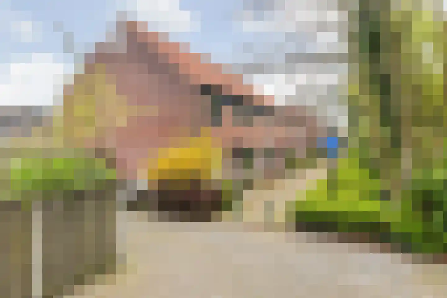 Kantenbeemd 16 Breda thumbnail 6