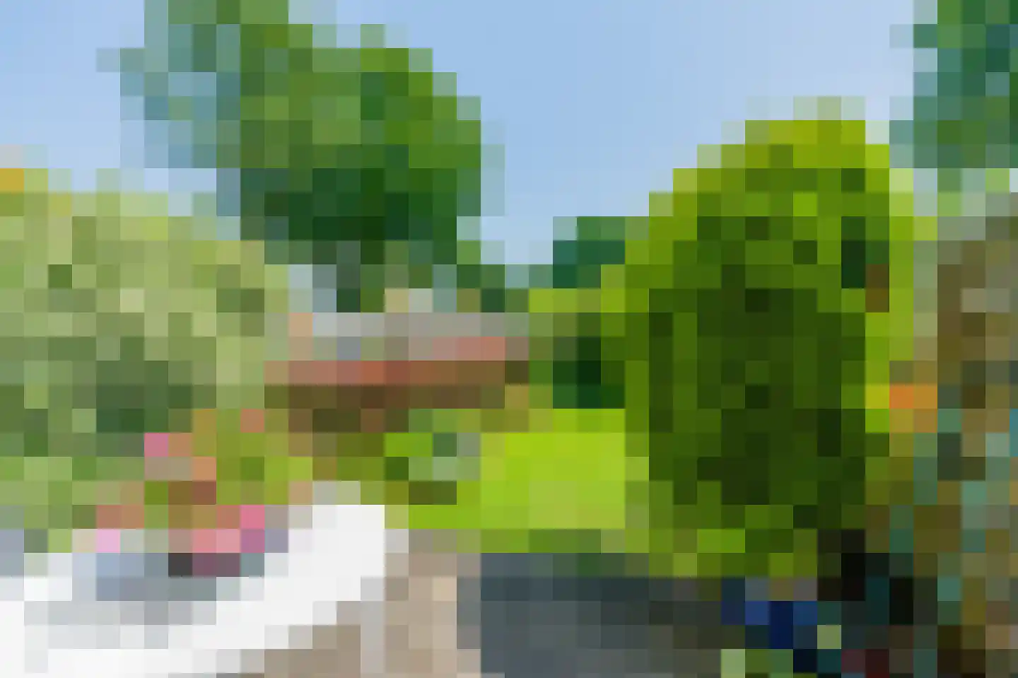 Kantershof 107 Amsterdam thumbnail 10