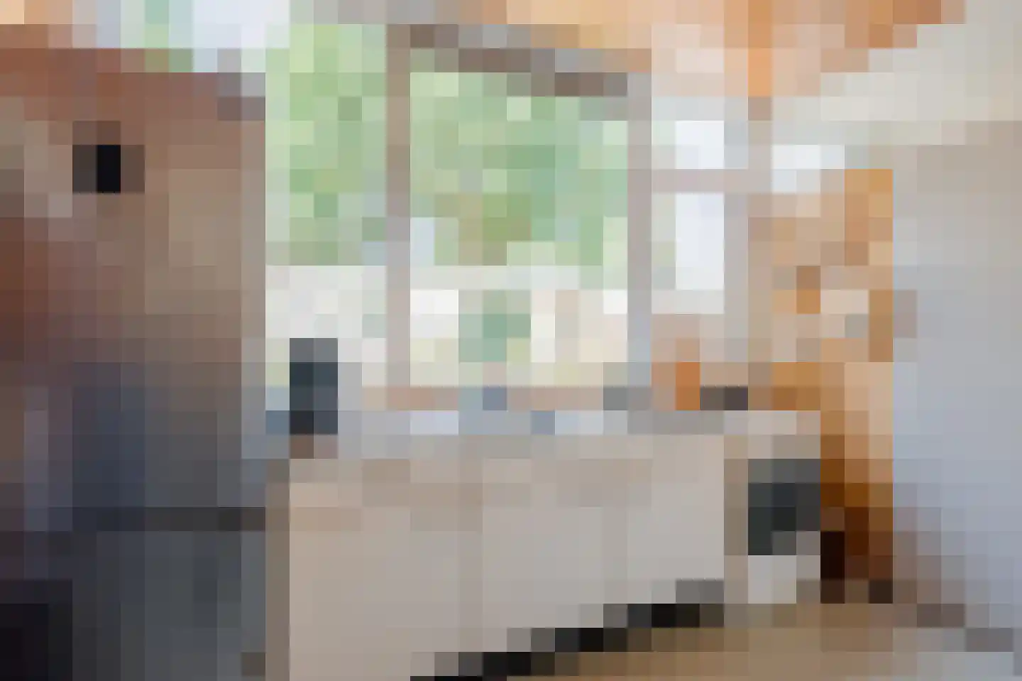 Kantershof 107 Amsterdam thumbnail 15