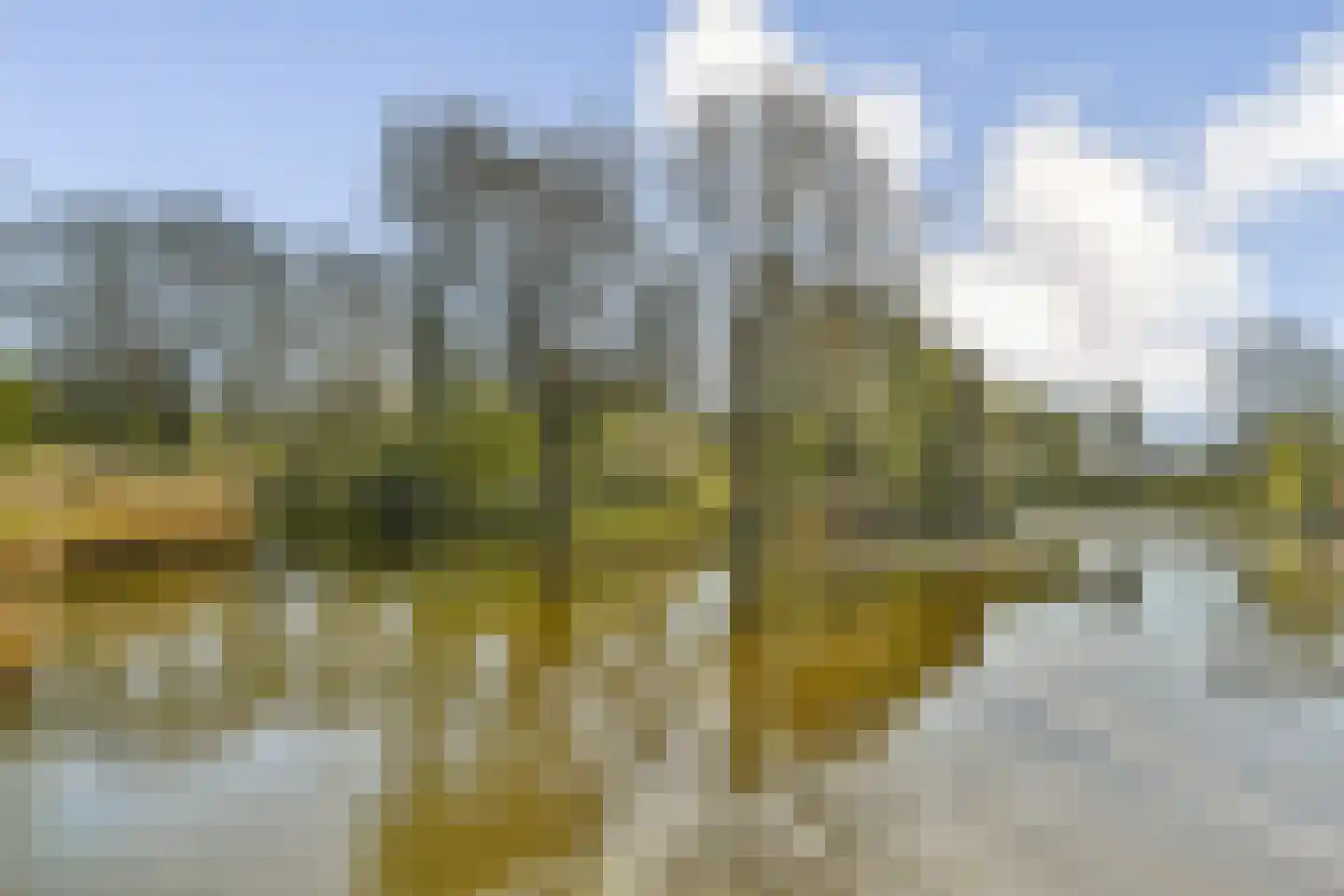 Kantershof 182 Amsterdam thumbnail 24
