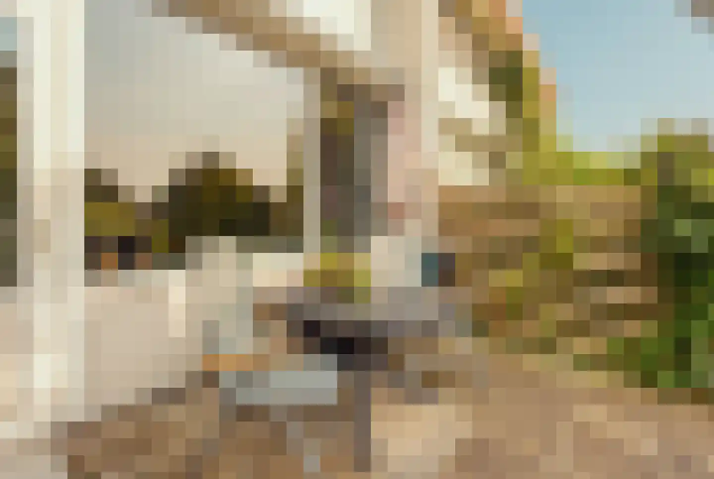 Kantershof 188 Amsterdam thumbnail 22