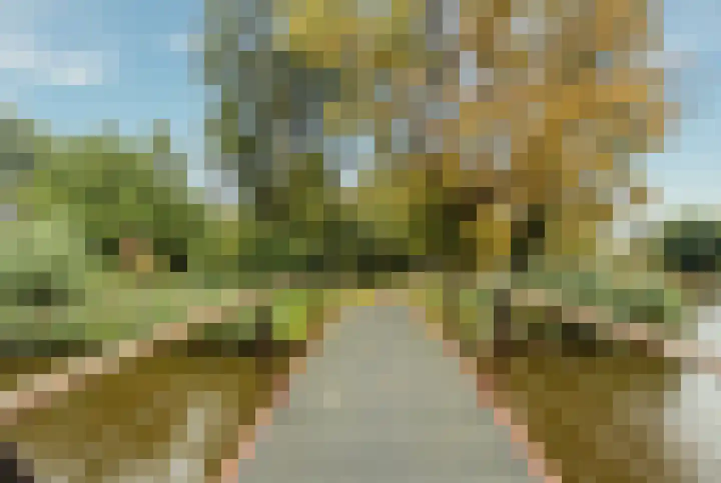 Kantershof 188 Amsterdam thumbnail 38
