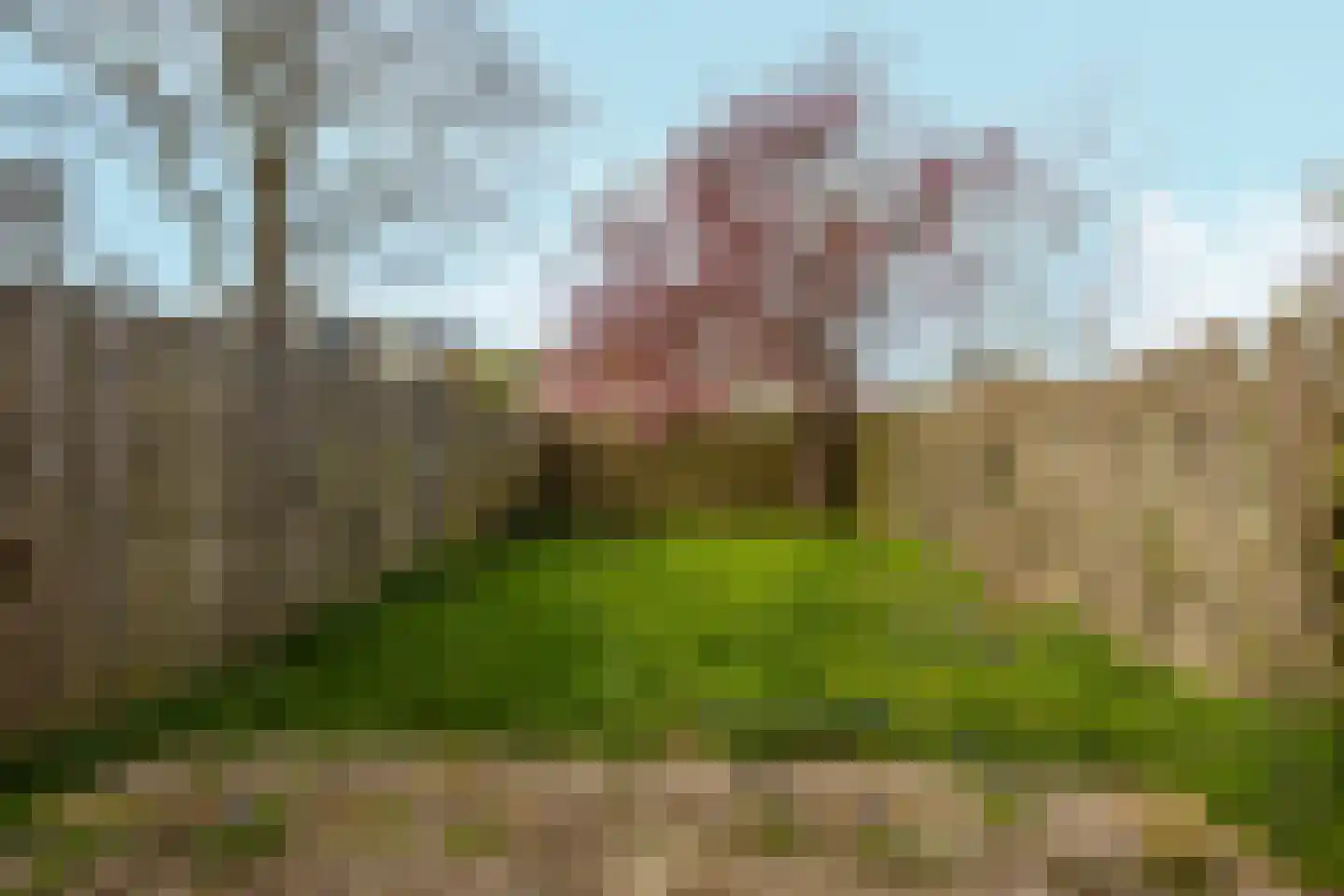 Kantershof 234 Amsterdam thumbnail 30