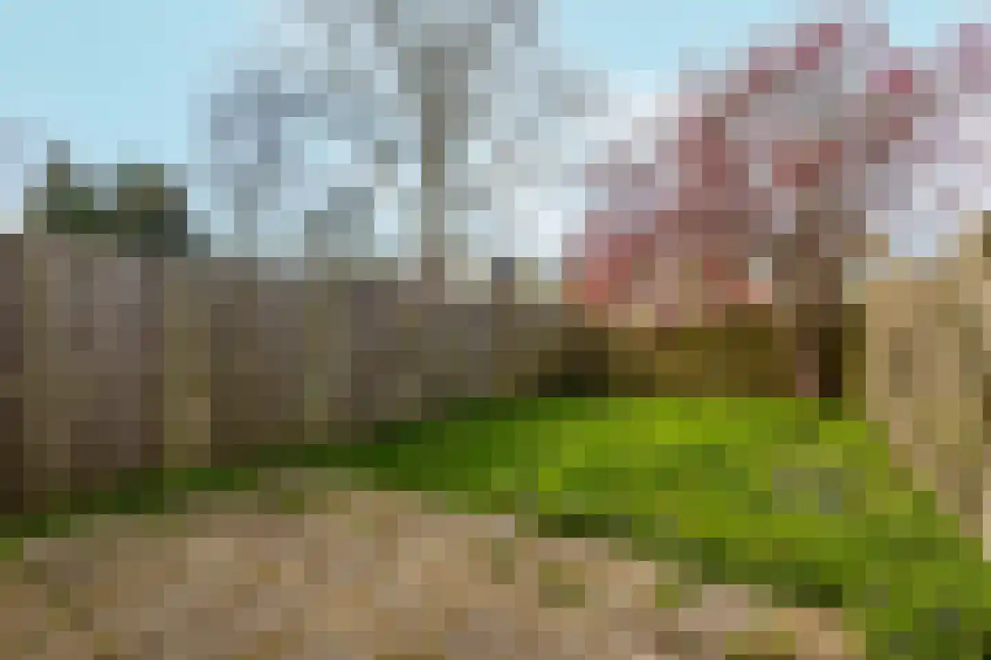 Kantershof 234 Amsterdam thumbnail 31