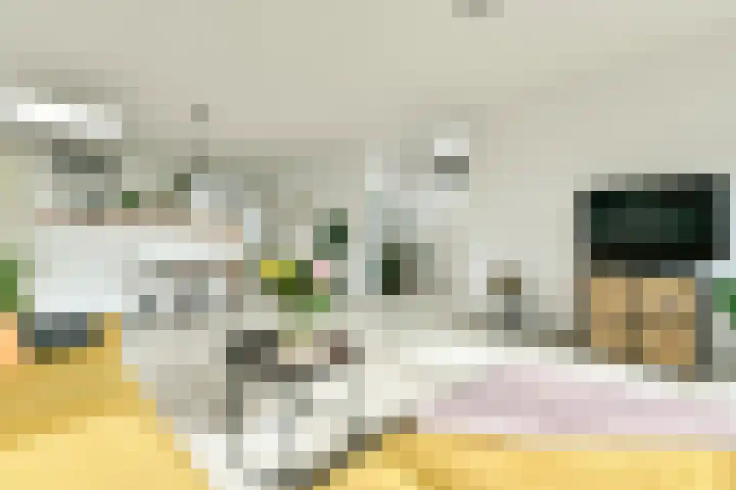 Kantershof 241 Amsterdam thumbnail 9