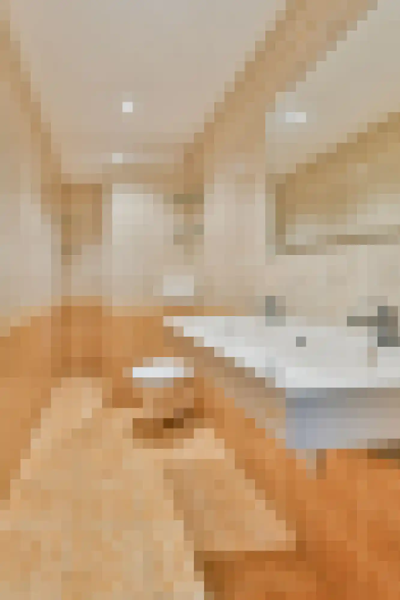 Kantershof 262 Amsterdam thumbnail 11