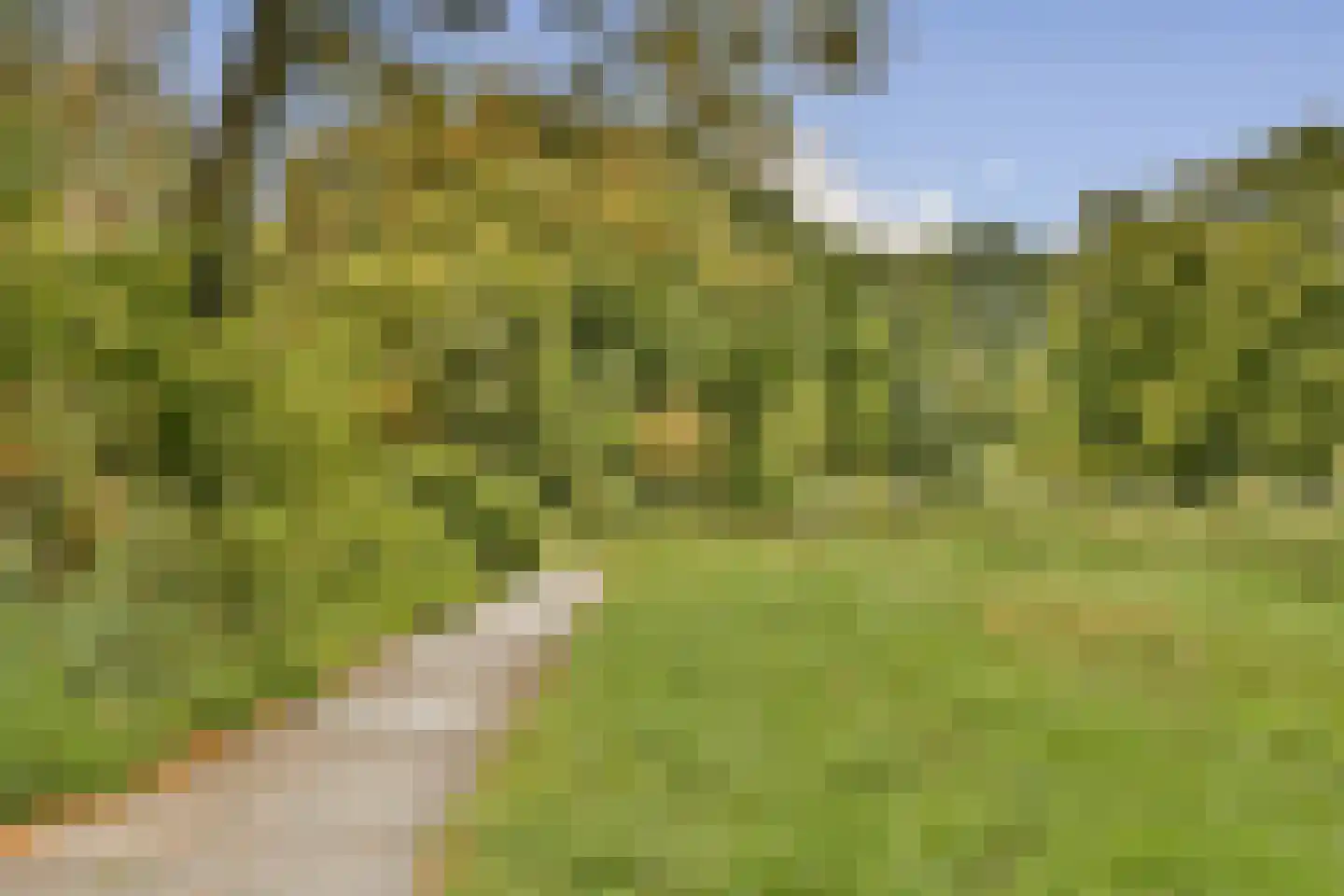 Kantershof 262 Amsterdam thumbnail 22