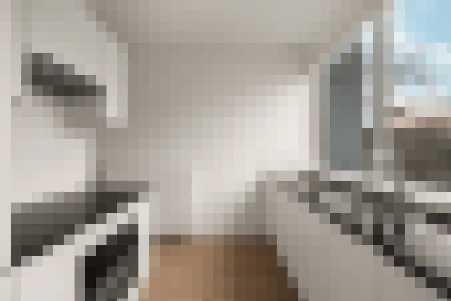Kantershof 267 Amsterdam thumbnail 6