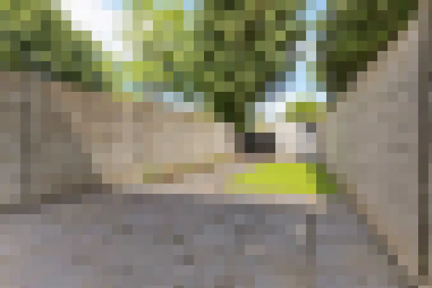 Kantershof 312 Amsterdam thumbnail 28
