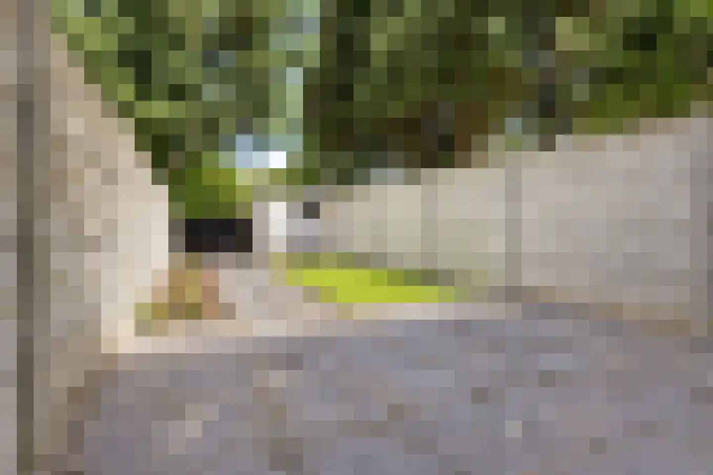 Kantershof 312 Amsterdam thumbnail 29