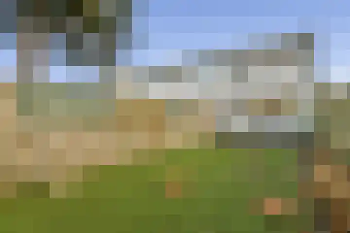 Kantershof 325 Amsterdam thumbnail 6