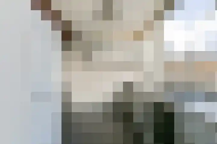 Kantershof 325 Amsterdam thumbnail 9