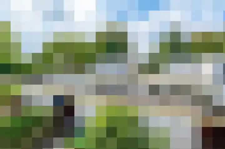 Kantershof 376 Amsterdam thumbnail 40