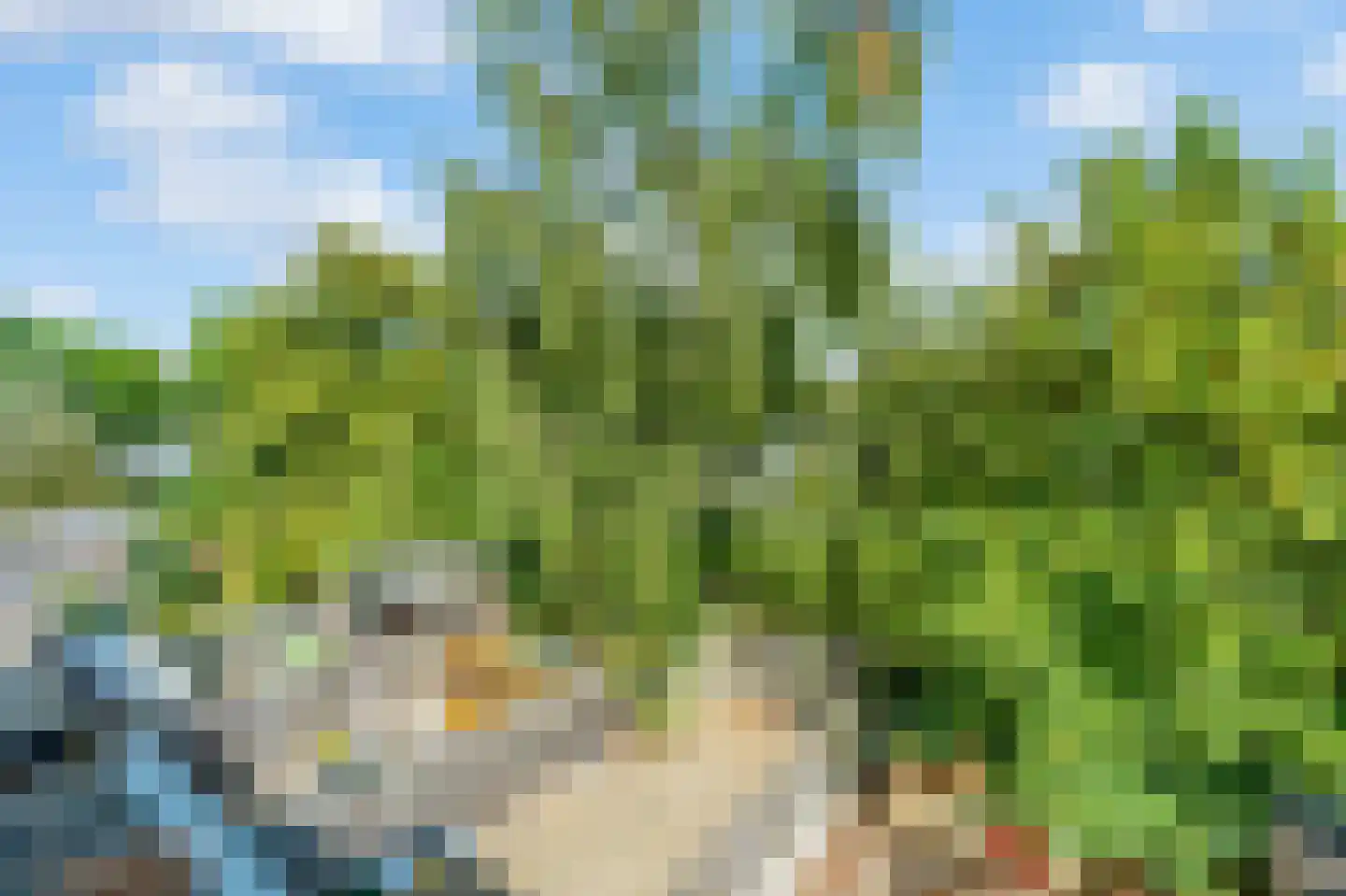 Kantershof 403 Amsterdam thumbnail 43