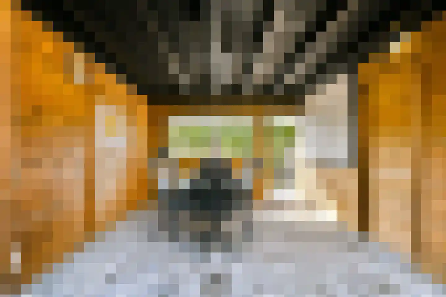 Kantershof 484 Amsterdam thumbnail 12