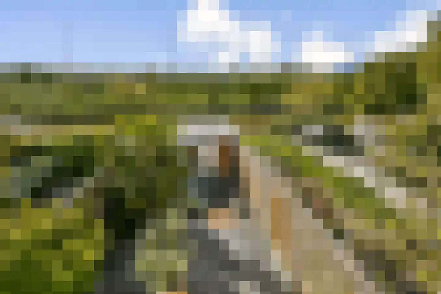 Kantershof 484 Amsterdam thumbnail 22