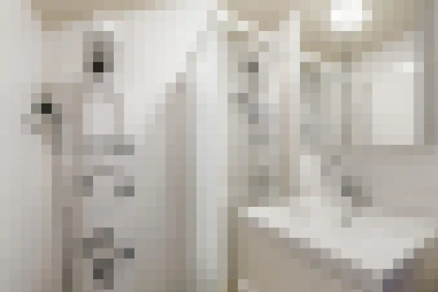 Kantershof 511 Amsterdam thumbnail 25