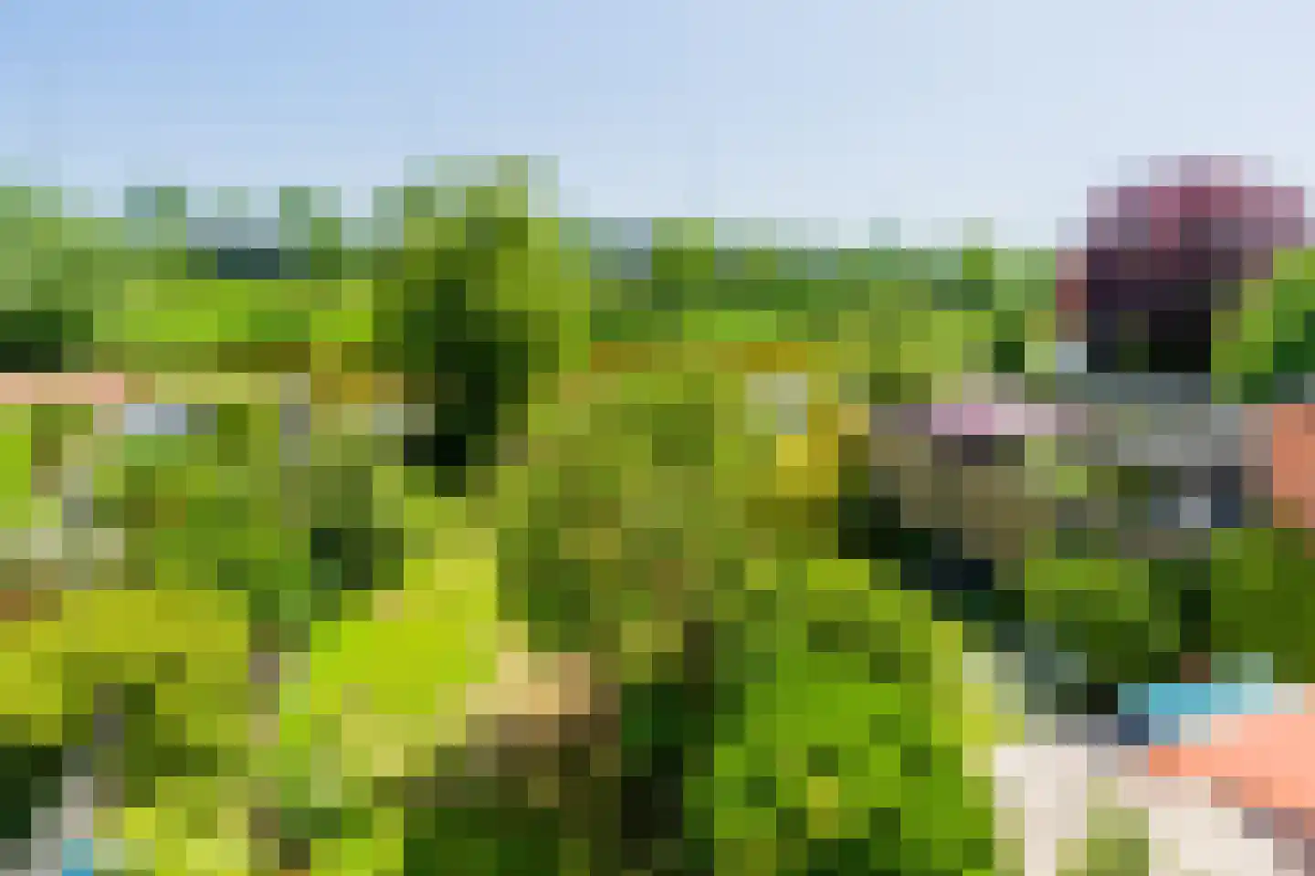 Kantershof 511 Amsterdam thumbnail 42