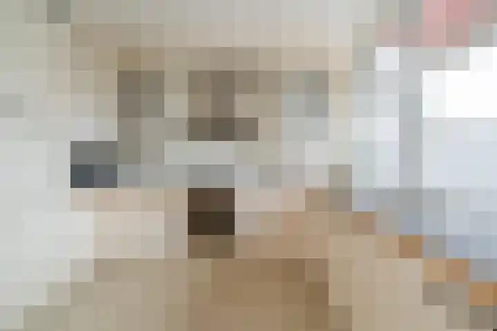 Kantershof 527 Amsterdam thumbnail 4