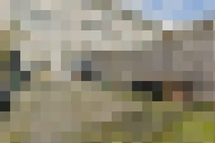 Kantershof 536 Amsterdam thumbnail 11
