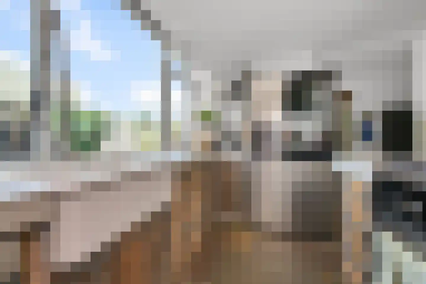 Kantershof 567 Amsterdam thumbnail 14