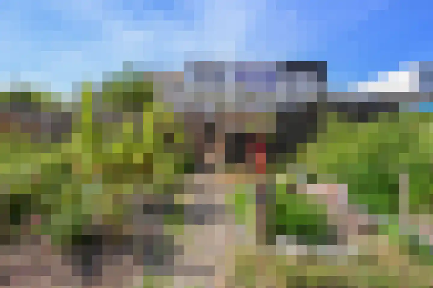 Kantershof 567 Amsterdam thumbnail 38