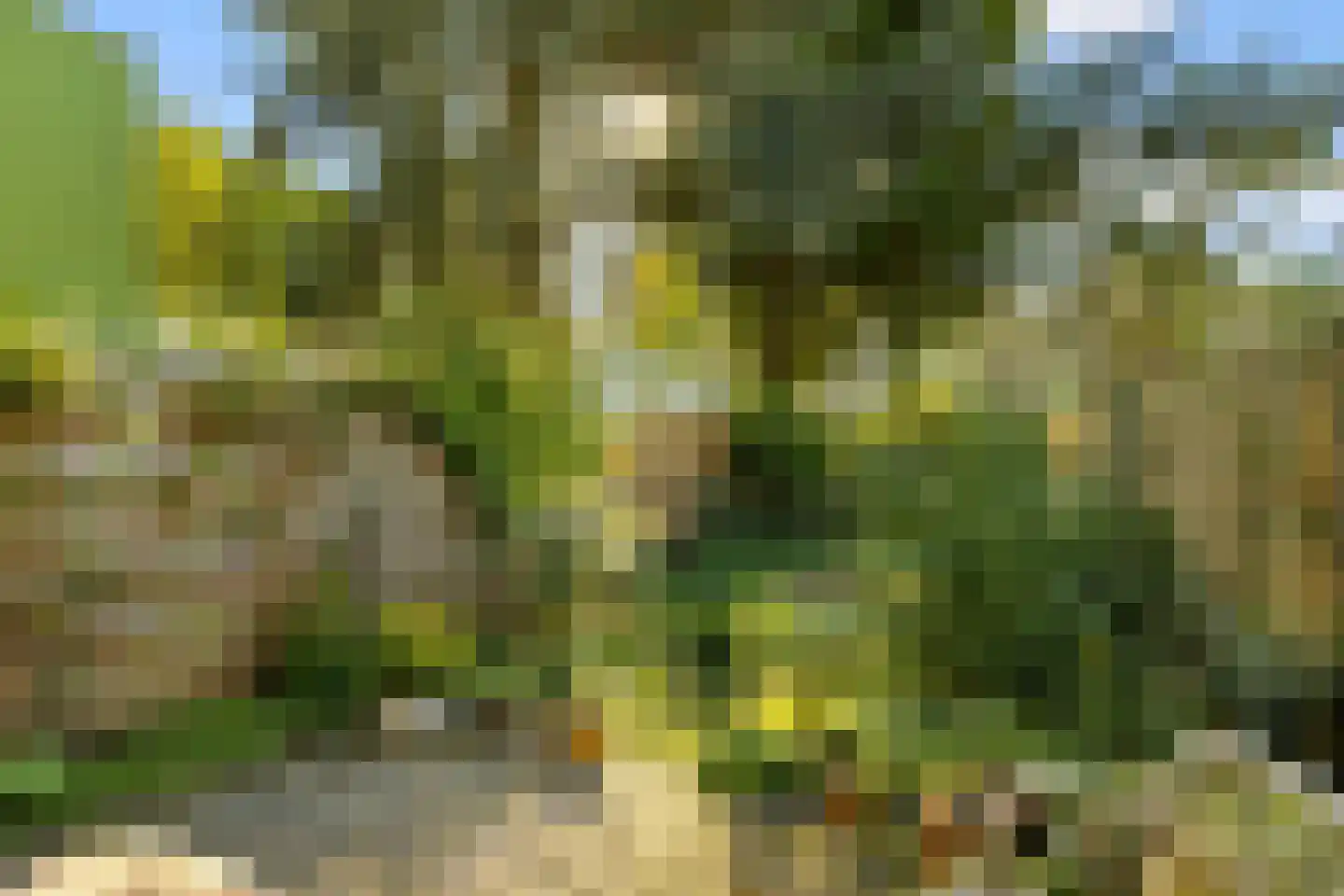 Kantershof 83 Amsterdam thumbnail 26