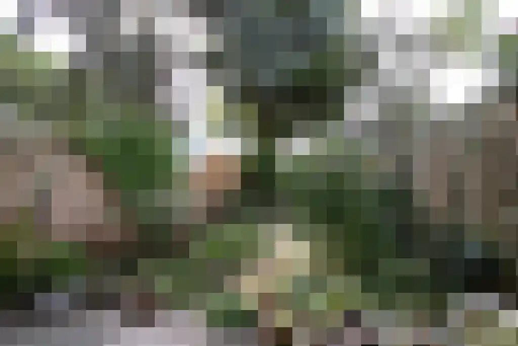 Kantershof 83 Amsterdam thumbnail 5