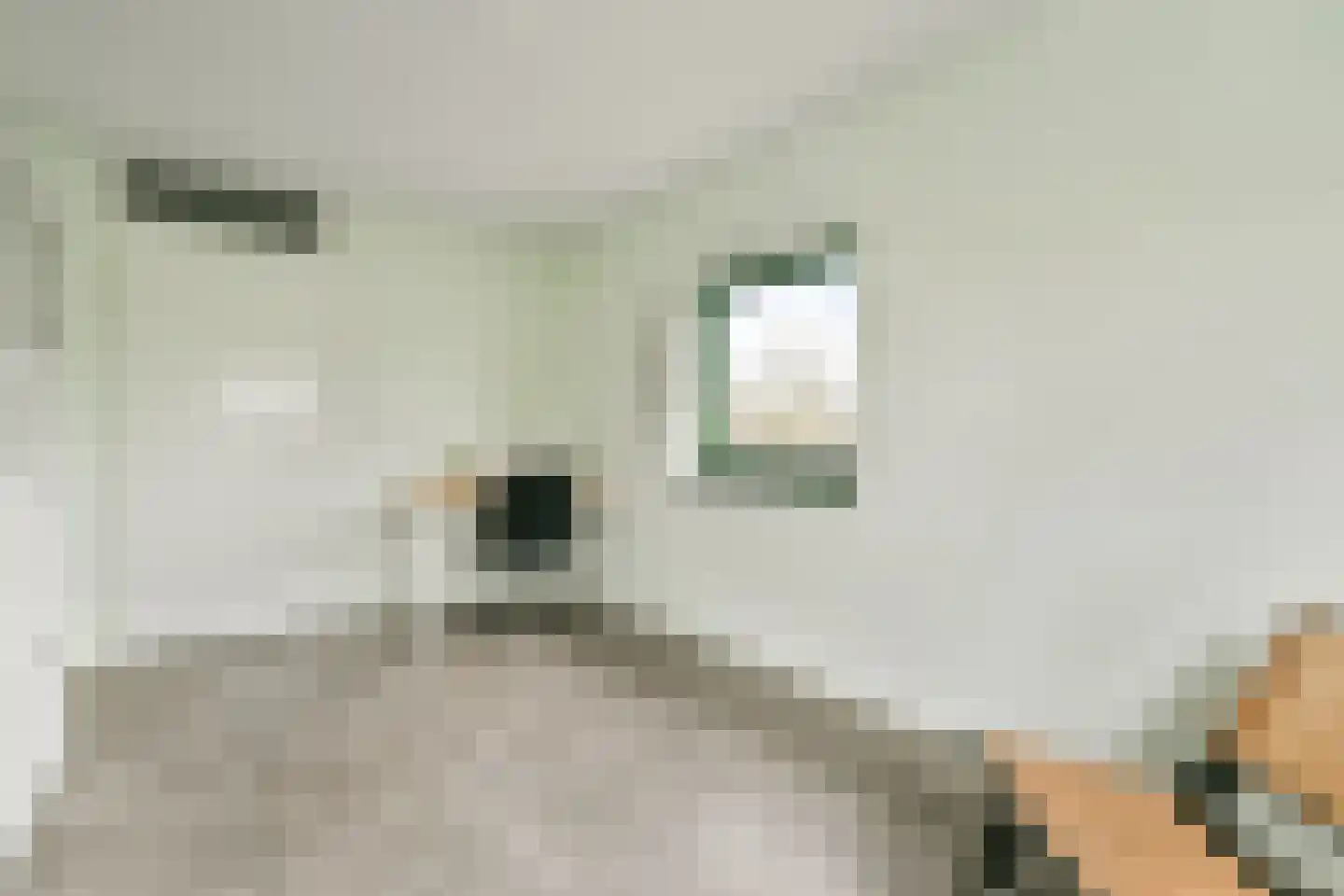 Kantershofstraat 34 Amsterdam thumbnail 15