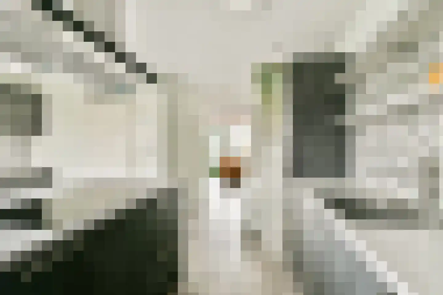 Kantershofstraat 34 Amsterdam thumbnail 8