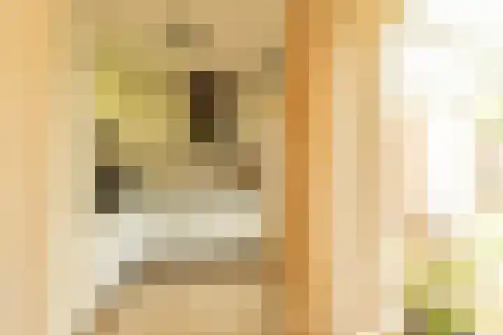 Kanthuisstraat 18 Simpelveld thumbnail 10