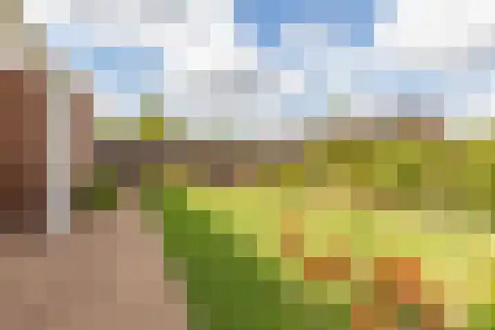 Kanthuisstraat 18 Simpelveld thumbnail 12