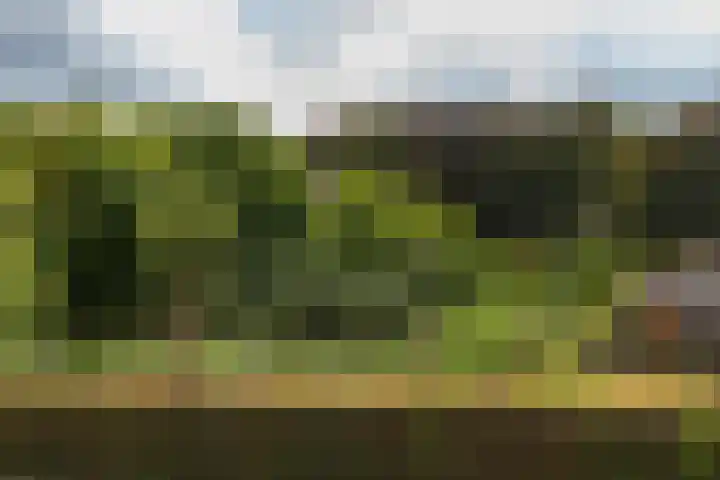 Kanthuisstraat 18 Simpelveld thumbnail 18