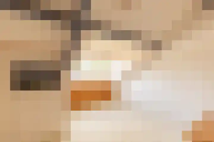 Kanthuisstraat 18 Simpelveld thumbnail 23
