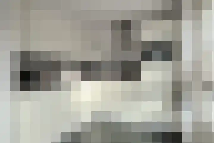 Kanthuisstraat 35 Simpelveld thumbnail 9