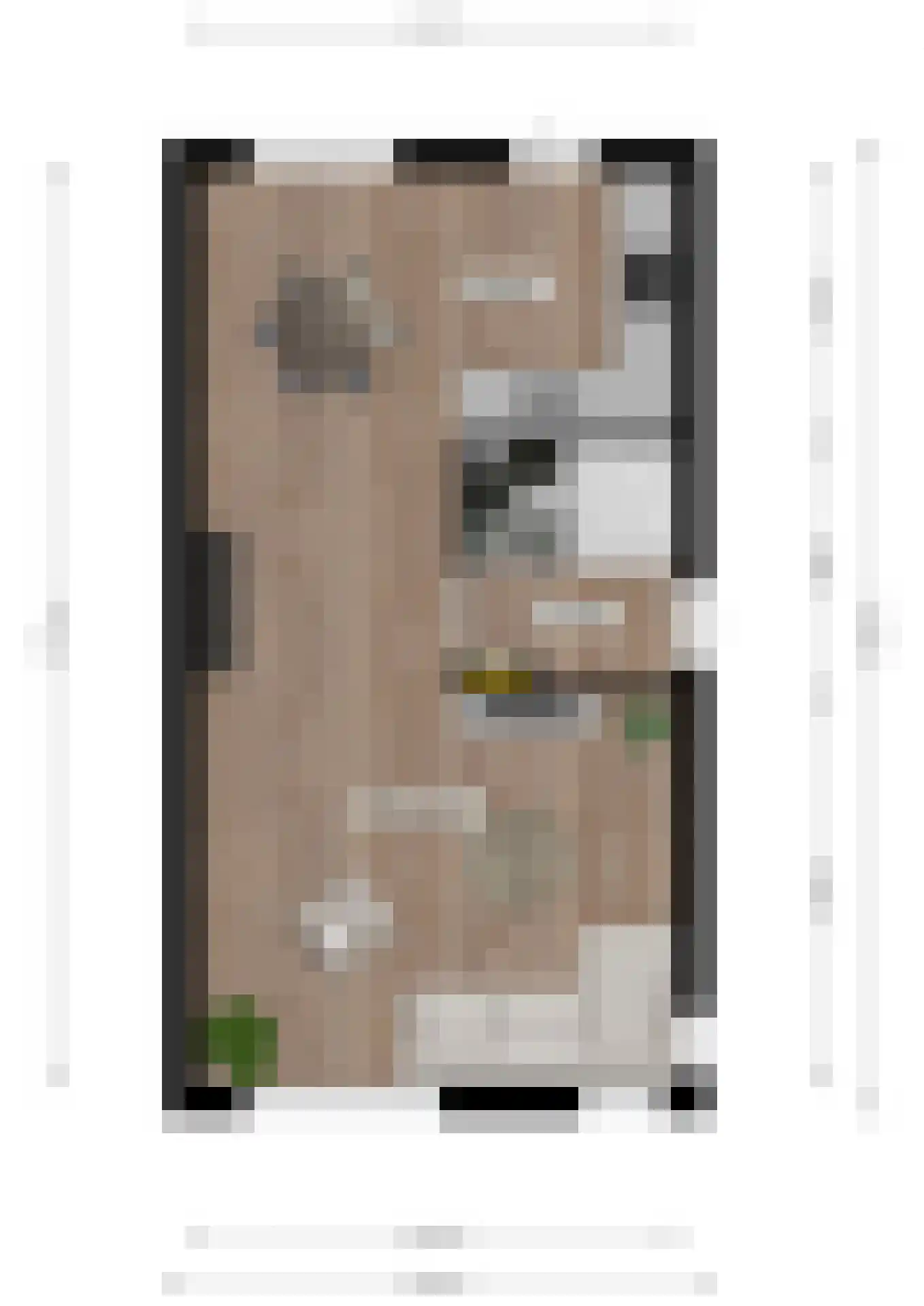 Kanthuisstraat 51 Simpelveld thumbnail 30
