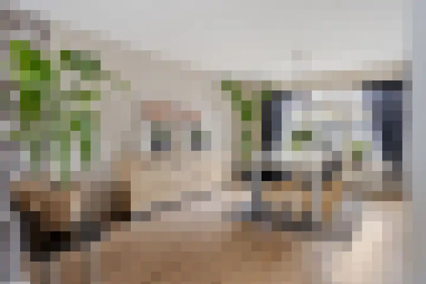 Kantmos 42 Veenendaal thumbnail 10
