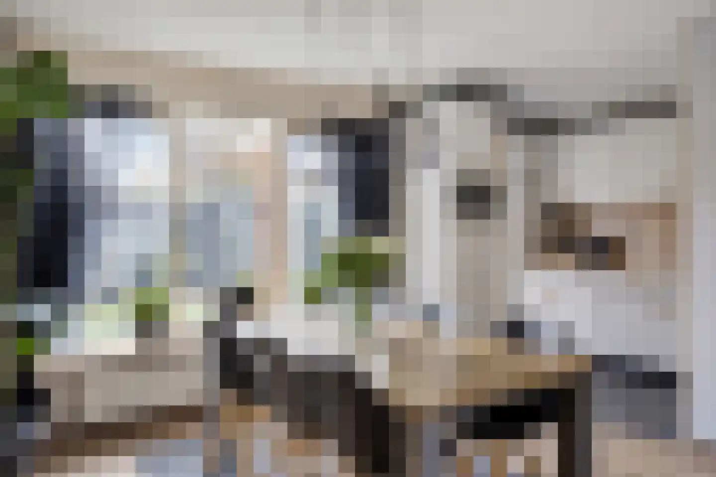 Kantmos 42 Veenendaal thumbnail 11