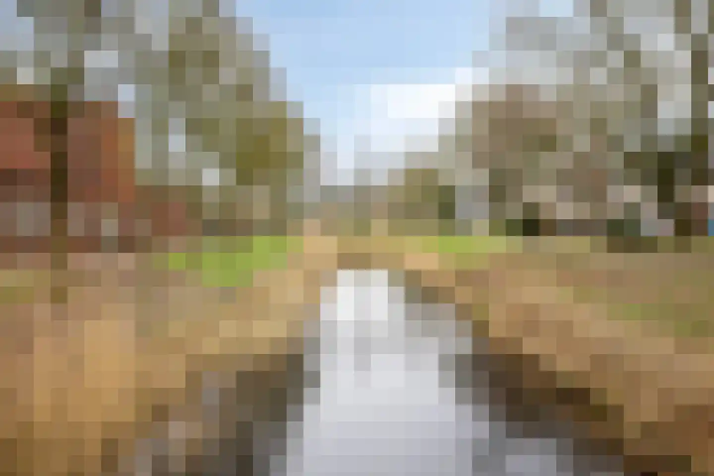 Kantmos 42 Veenendaal thumbnail 45