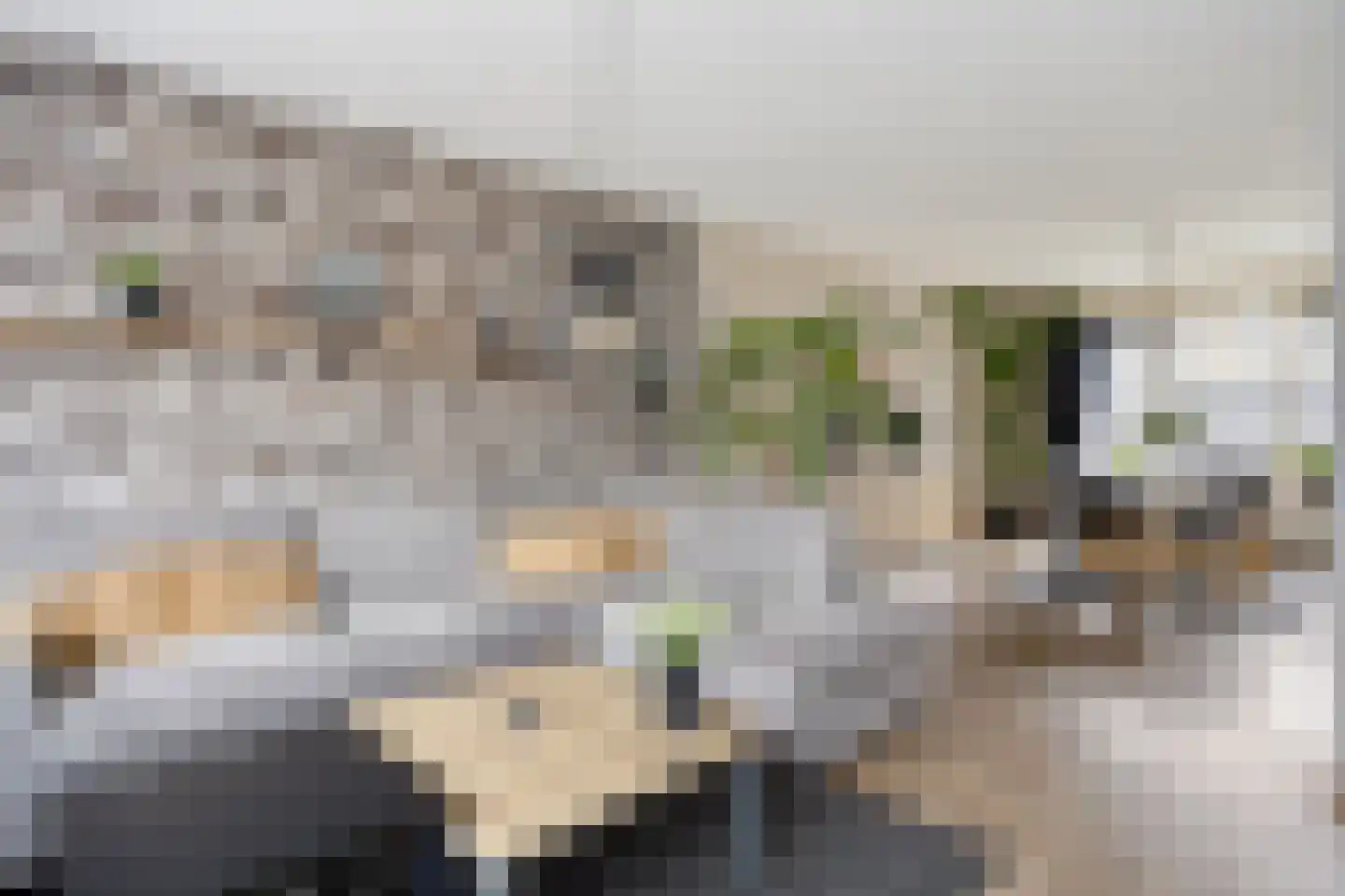 Kantmos 42 Veenendaal thumbnail 8