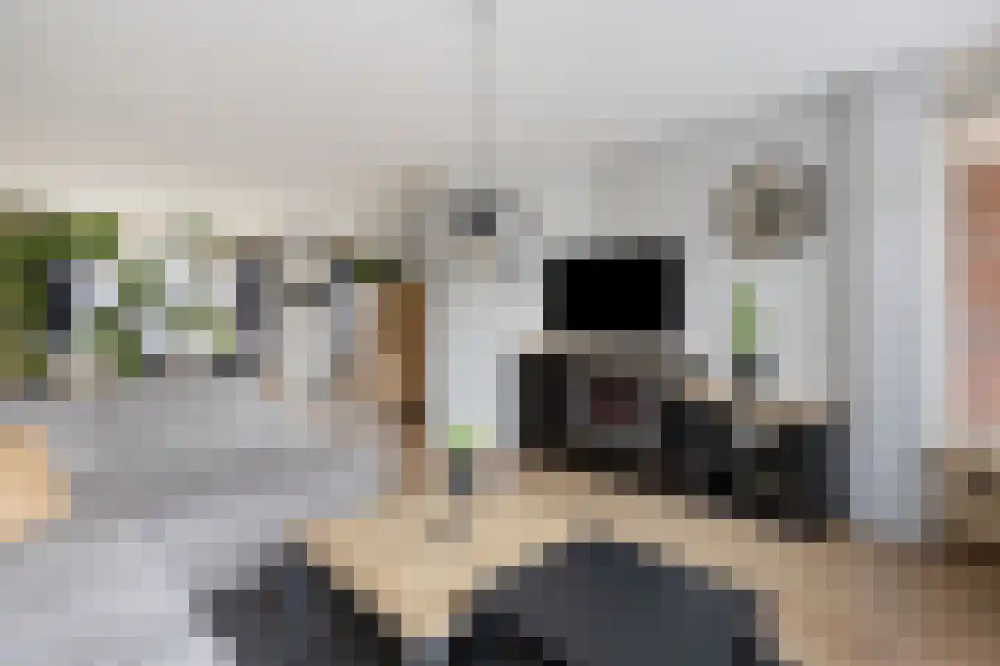 Kantmos 42 Veenendaal thumbnail 9