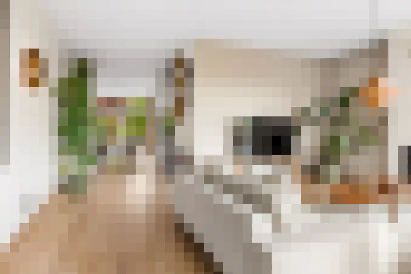 Kantmos 47 Houten thumbnail 11