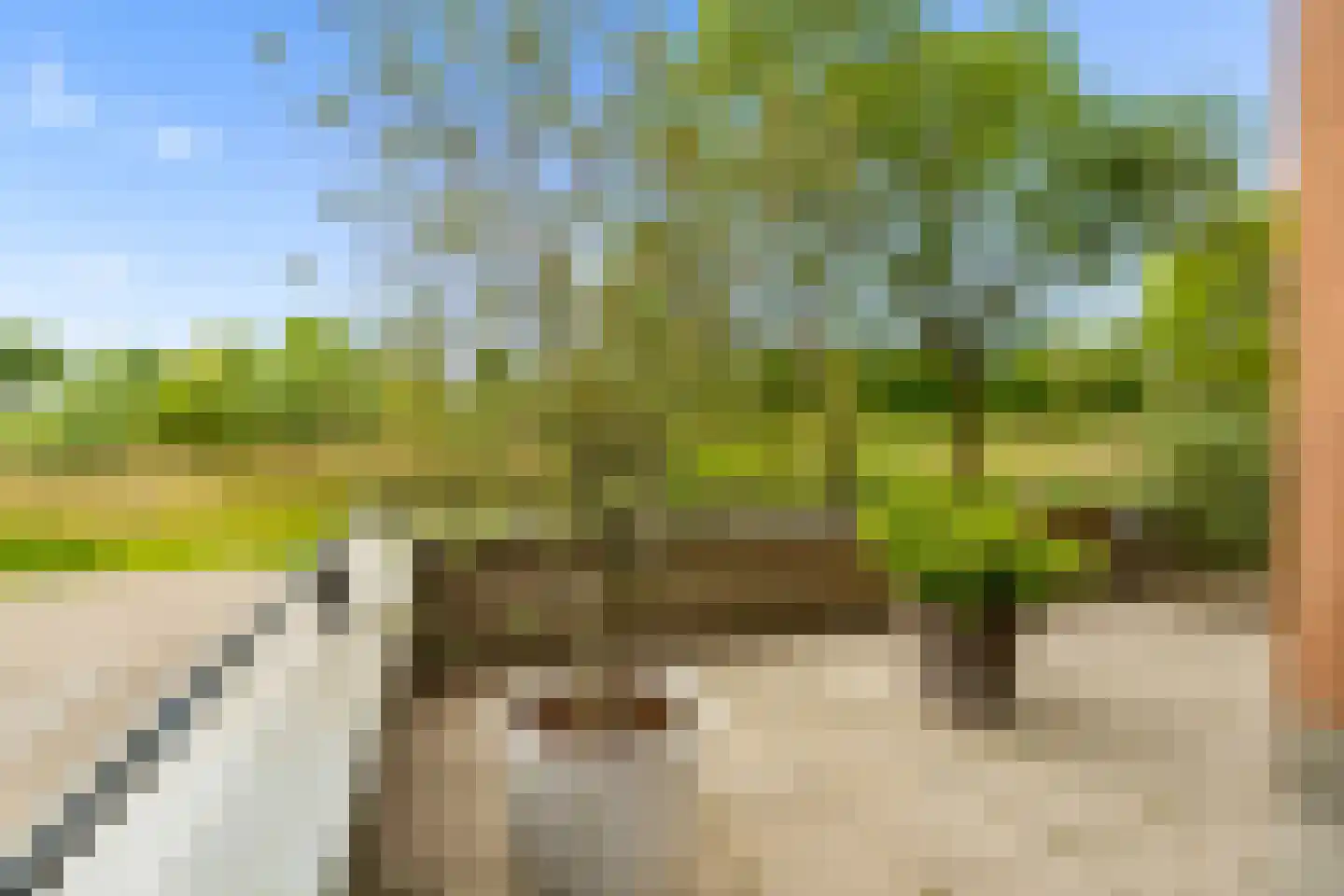 Kantmos 47 Houten thumbnail 12