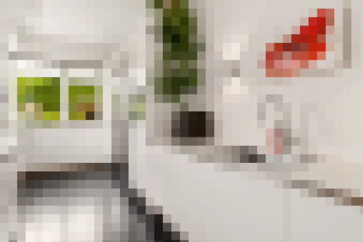 Kantmos 47 Houten thumbnail 25