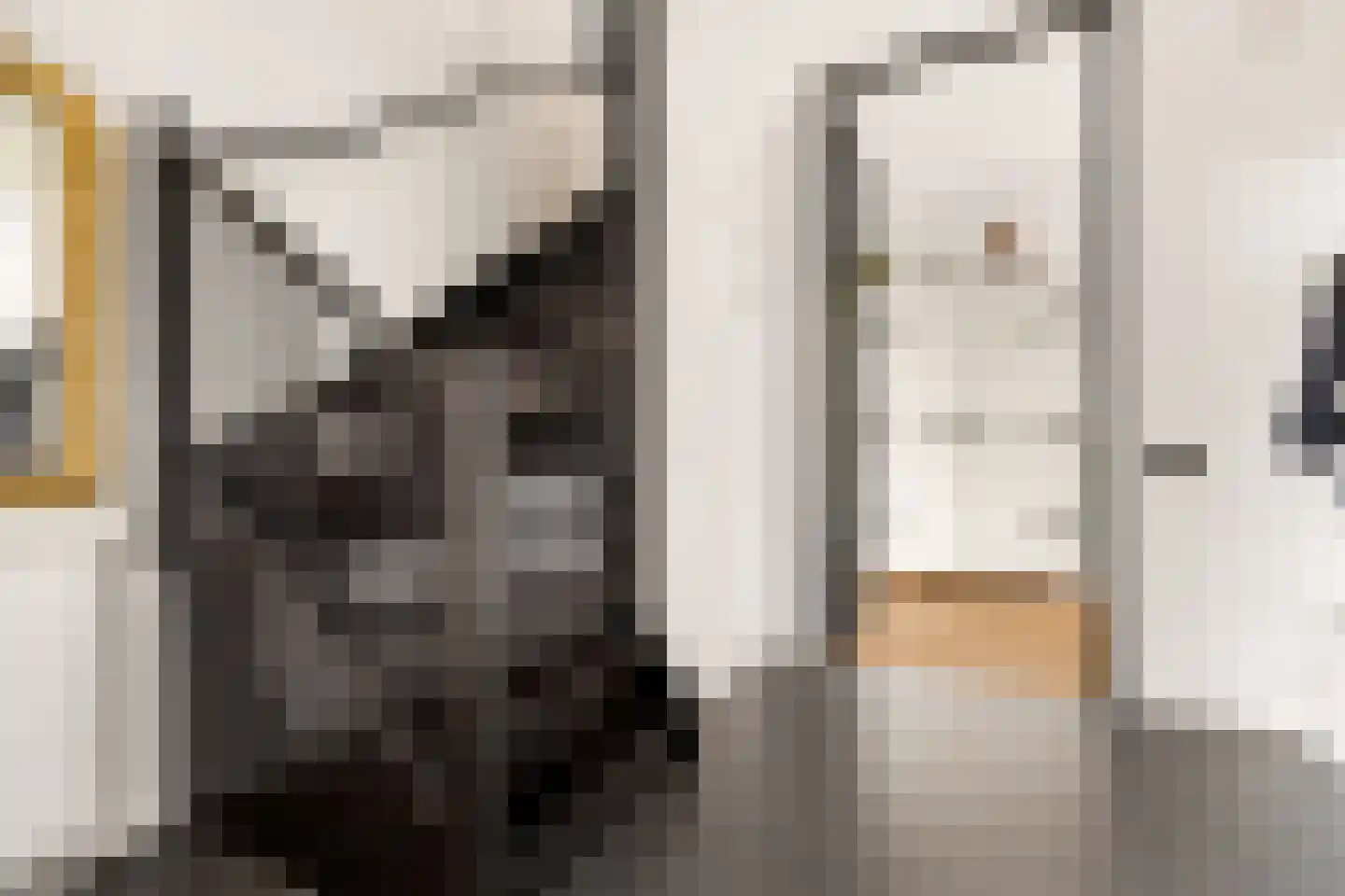 Kantmos 47 Houten thumbnail 28