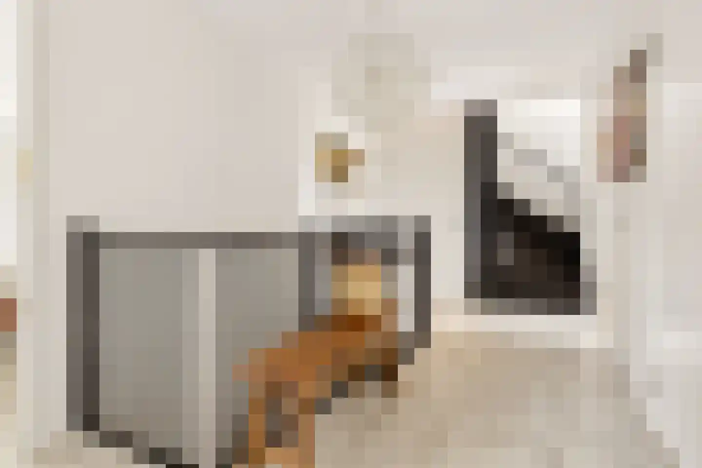 Kantmos 47 Houten thumbnail 29